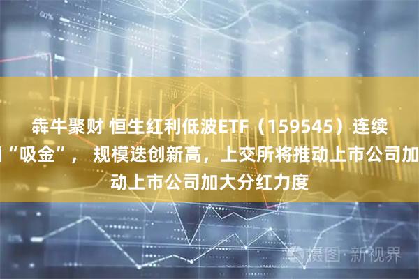 犇牛聚财 恒生红利低波ETF（159545）连续17个交易日“吸金”， 规模迭创新高，上交所将推动上市公司加大分红力度