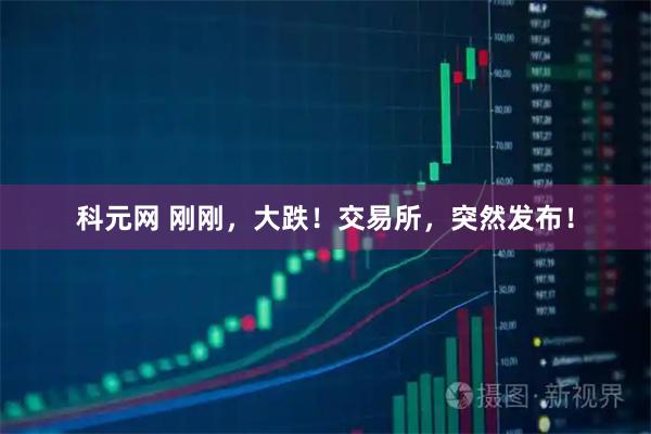 科元网 刚刚，大跌！交易所，突然发布！