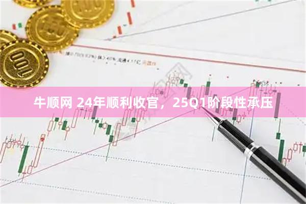 牛顺网 24年顺利收官，25Q1阶段性承压
