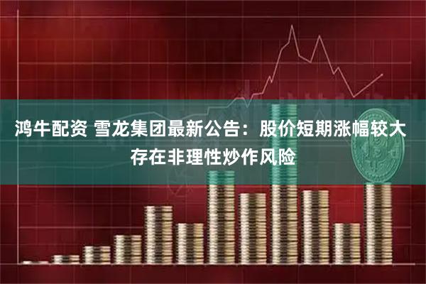 鸿牛配资 雪龙集团最新公告：股价短期涨幅较大 存在非理性炒作风险