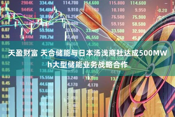 天盈财富 天合储能与日本汤浅商社达成500MWh大型储能业务战略合作