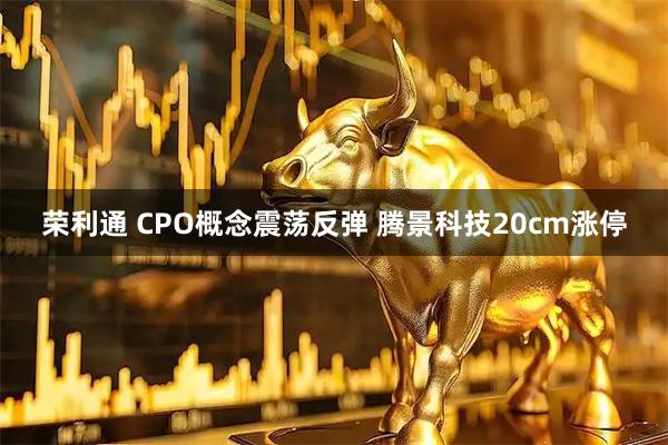 荣利通 CPO概念震荡反弹 腾景科技20cm涨停