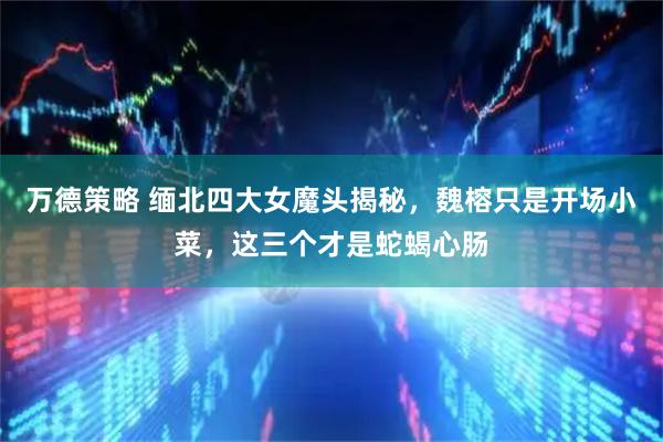 万德策略 缅北四大女魔头揭秘，魏榕只是开场小菜，这三个才是蛇蝎心肠