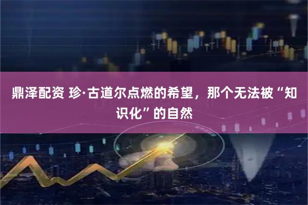 鼎泽配资 珍·古道尔点燃的希望，那个无法被“知识化”的自然