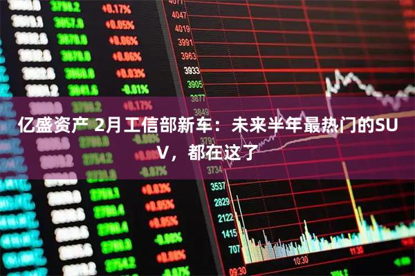亿盛资产 2月工信部新车：未来半年最热门的SUV，都在这了