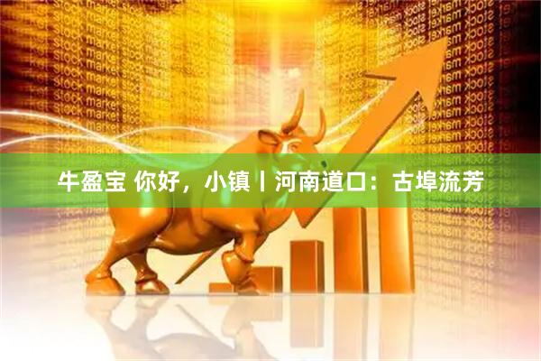 牛盈宝 你好，小镇丨河南道口：古埠流芳