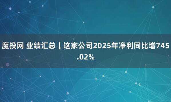 魔投网 业绩汇总丨这家公司2025年净利同比增745.02%